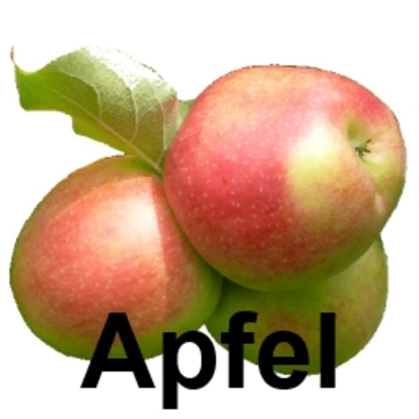 Fruchtsorte Apfel V 1.1 Birnen