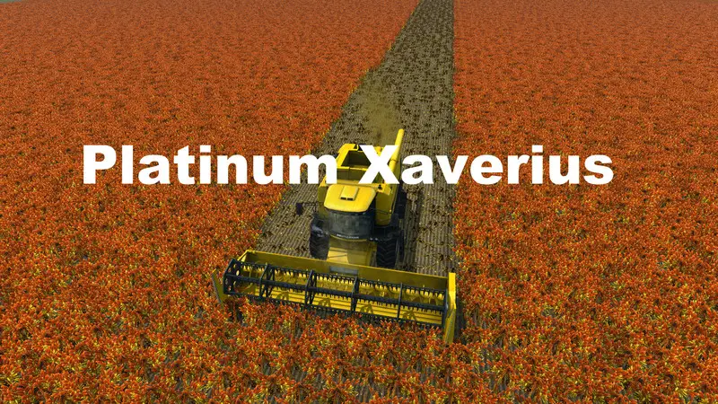 Platinum Xaverius v 12.8 