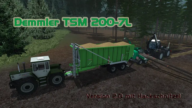 Demmler TSM 200 7L v2 Hackschnitzel