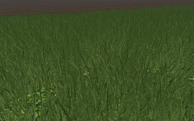 FS15 Tekstura trawy bez kwiatów