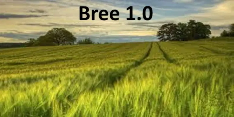 FS15 Bree v1