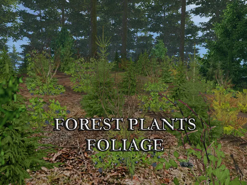 FS17 Rośliny leśne v1
