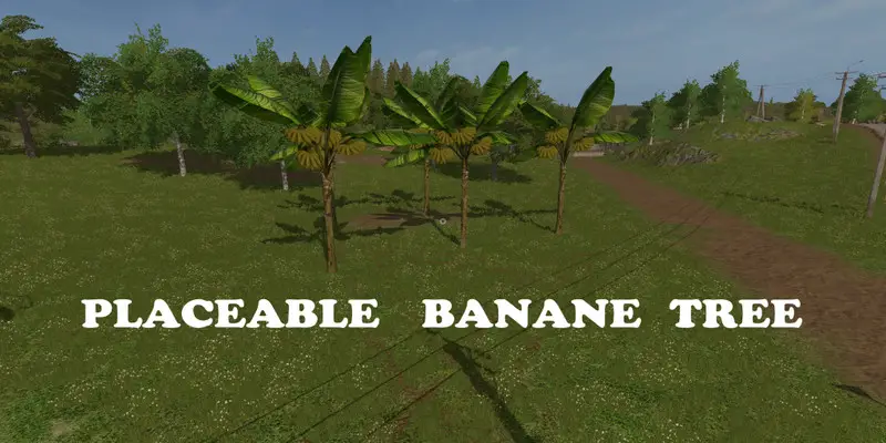 FS17 Bananowiec (Banane Tree Mod) Placeable