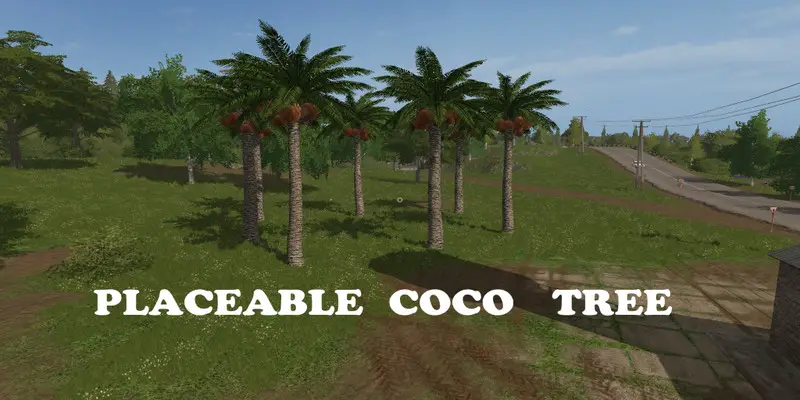 FS17 Kokosowiec (Coco Tree Mod) Placeable