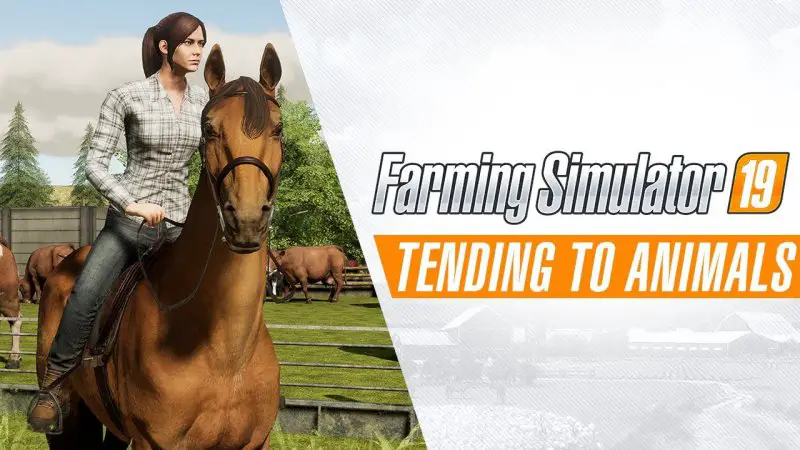Farming Simulator 19 | Gameplay #2 "Pielęgnowanie zwierząt"