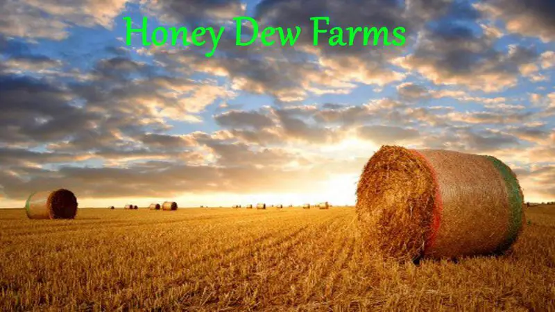 Honey Dew Farms v1.0.0.1